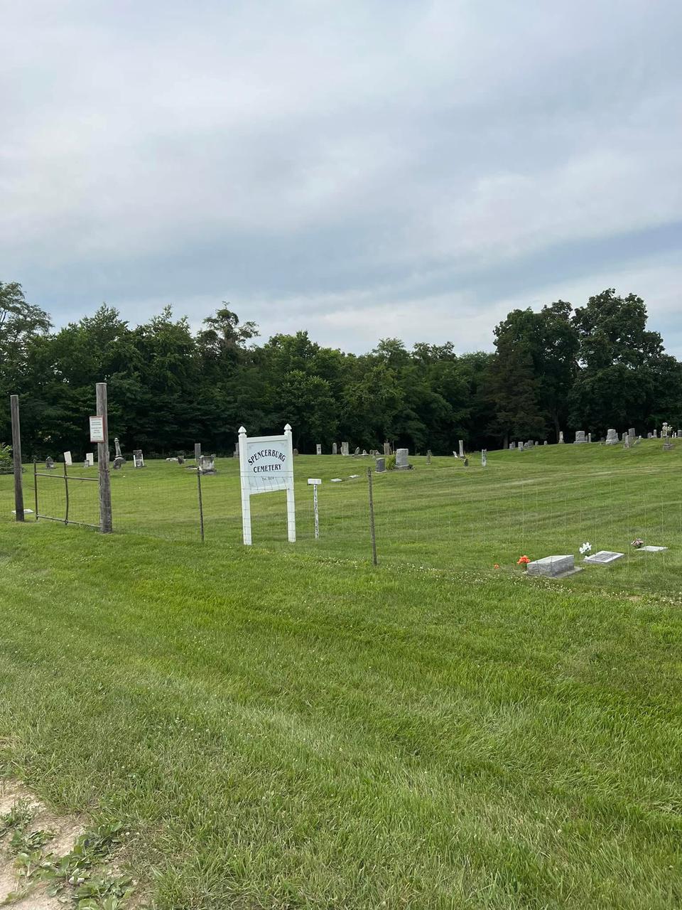 Lawn maintenance mowing