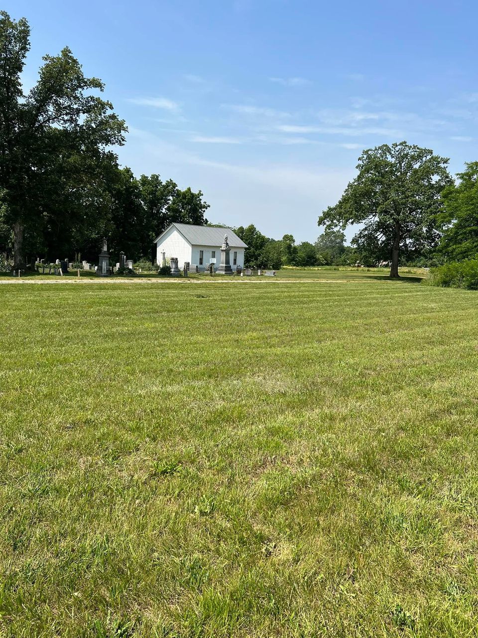 Hedge trimming service